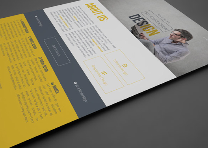 flyer-design-sample logo design